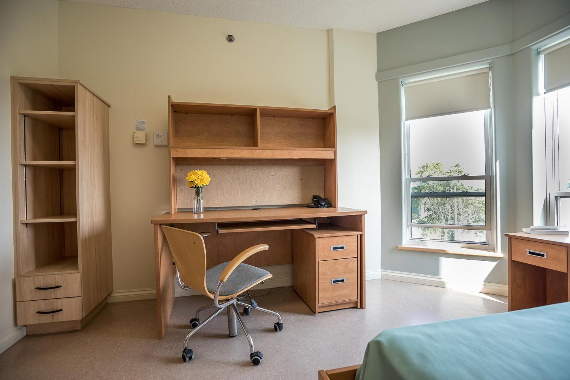 Mount Saint Vincent University Halifax Phòng bức ảnh
